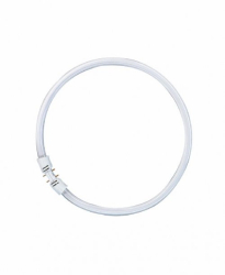 Zářivková trubice T5 kruh 22W/840 4 pin 2GX13 